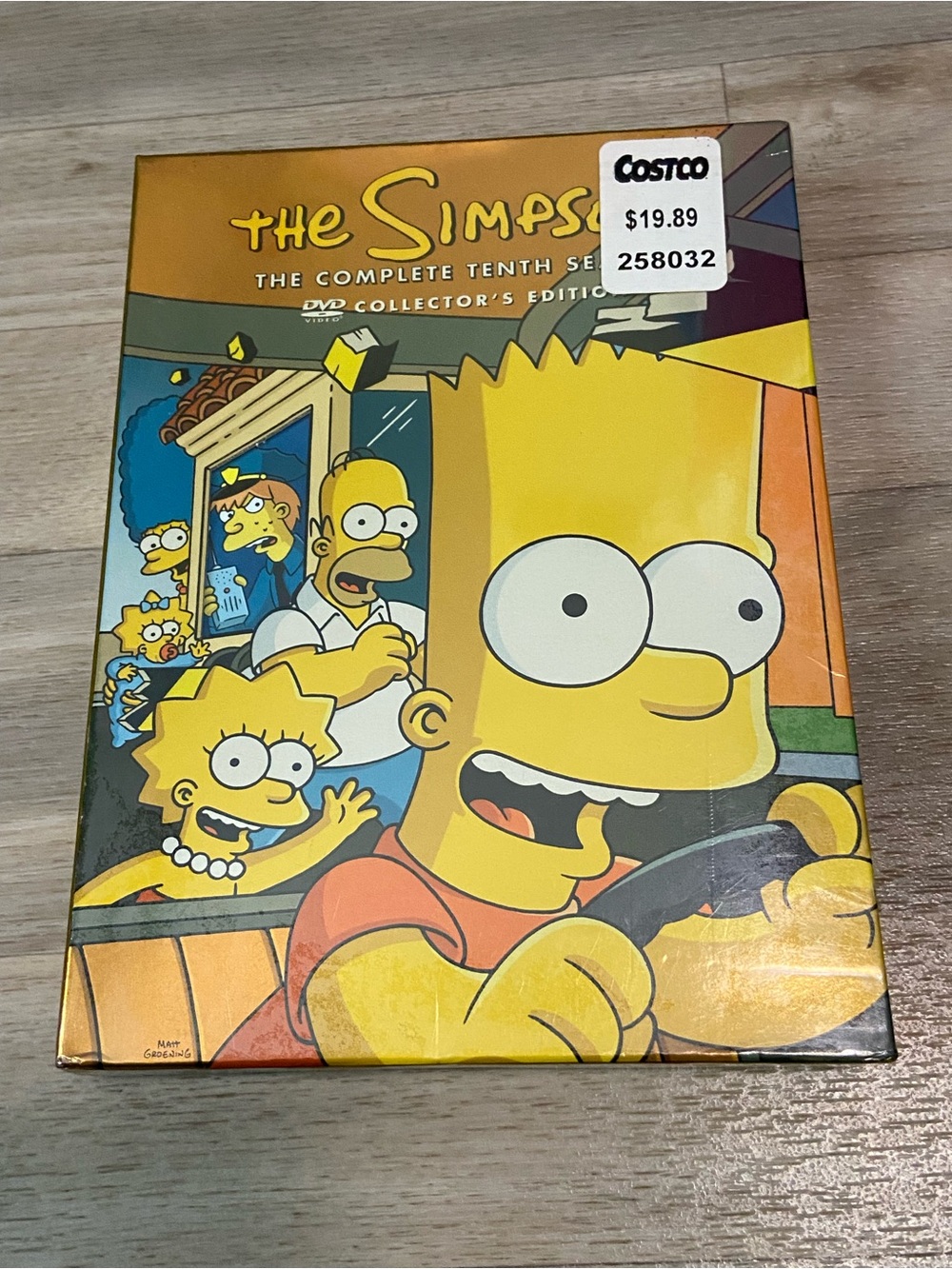 THE SIMPSONS Complete Tenth 10th Season Collector's Edition DVD New Sealed